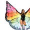Monarch Festival Halloween Wings Rainbow Large Sheer Butterfly Costume Accessory Adult